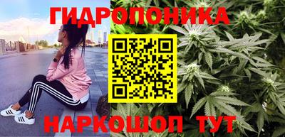 скорость mdpv Новодвинск