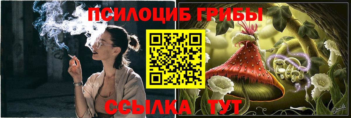Семилуки  Галлюциногенные грибы Magic Shrooms  Вход с VPN 